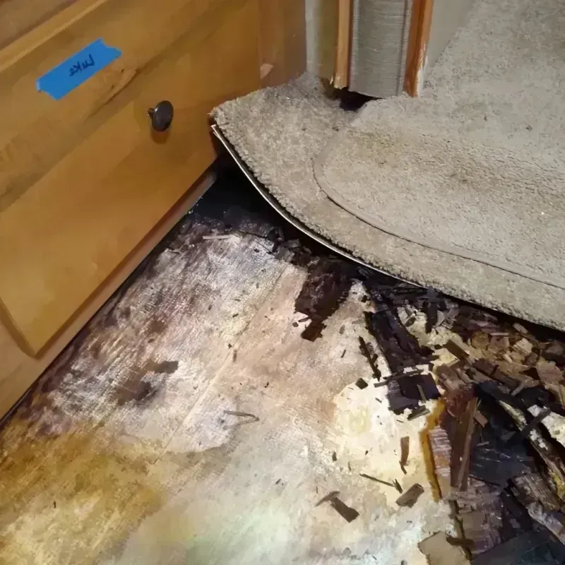 Wood Floor Water Damage in Brush Prairie, WA